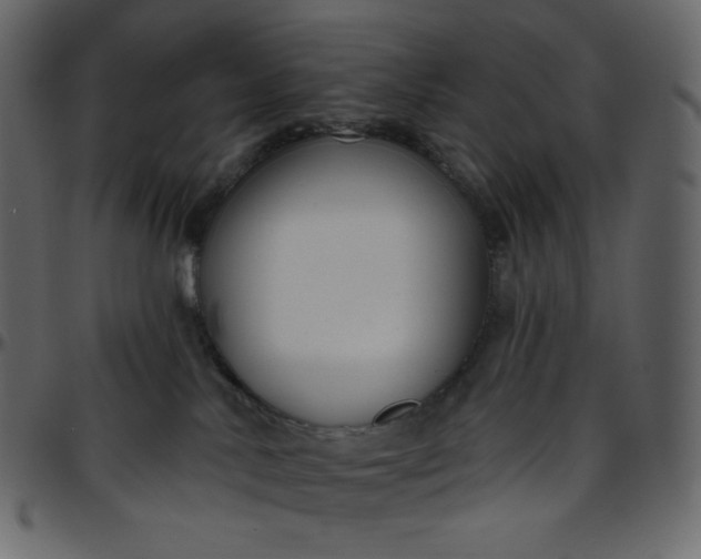 X0000095680042200801221236