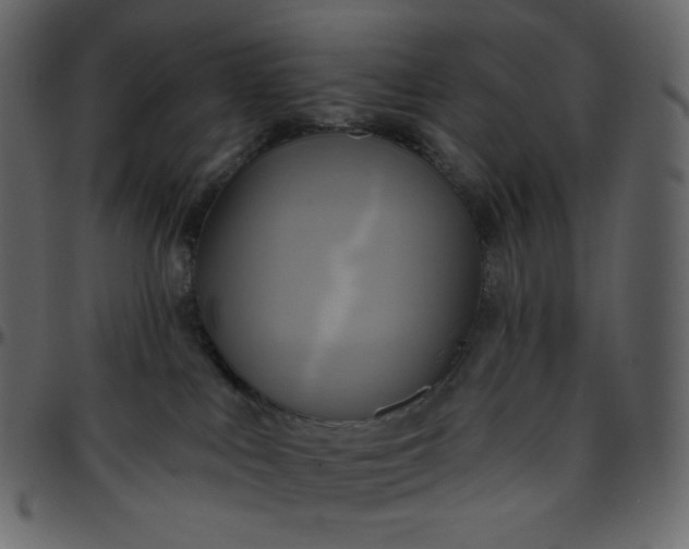 X0000095680043200801221235