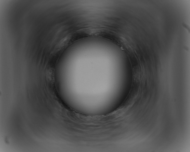 X0000095680044200801221235