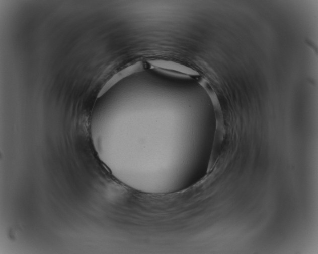 X0000095680045200801221235