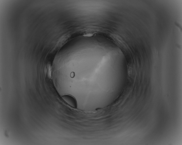 X0000095680046200801221235