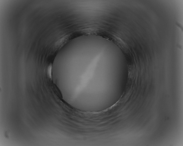 X0000095680047200801221235