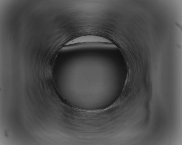 X0000095680048200801221235