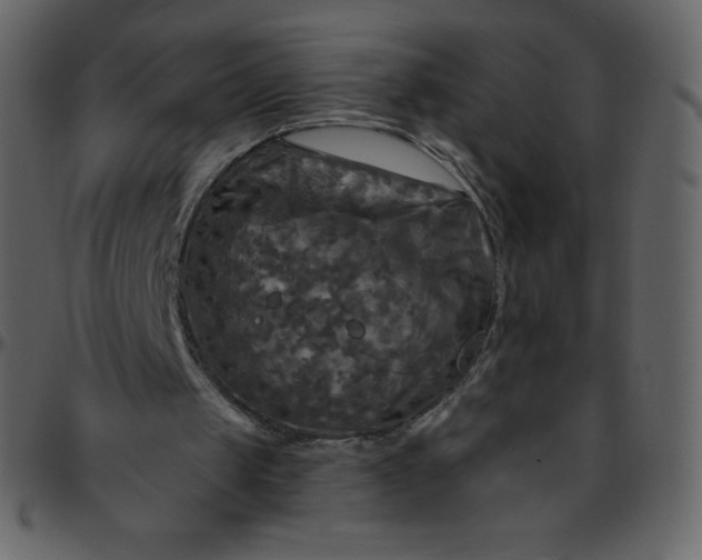 X0000095680049200801221235