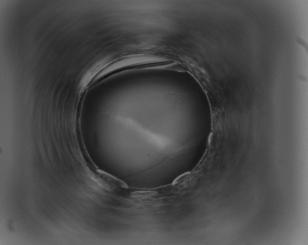 X0000095680051200801221235