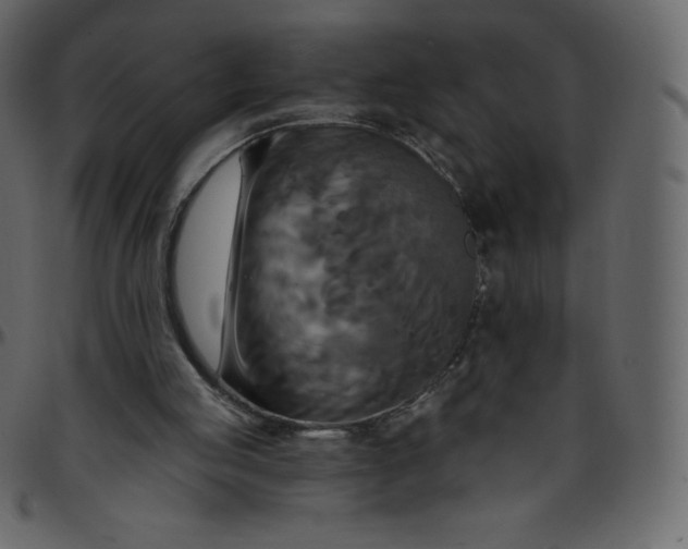 X0000095680053200801221235