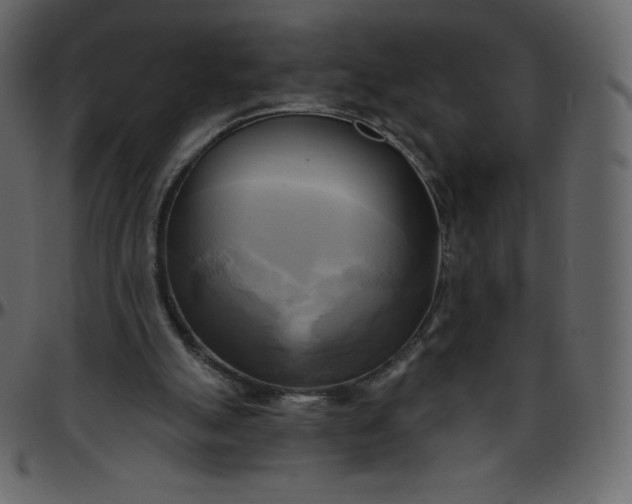 X0000095680055200801221235