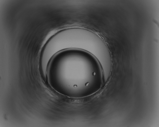 X0000095680056200801221235