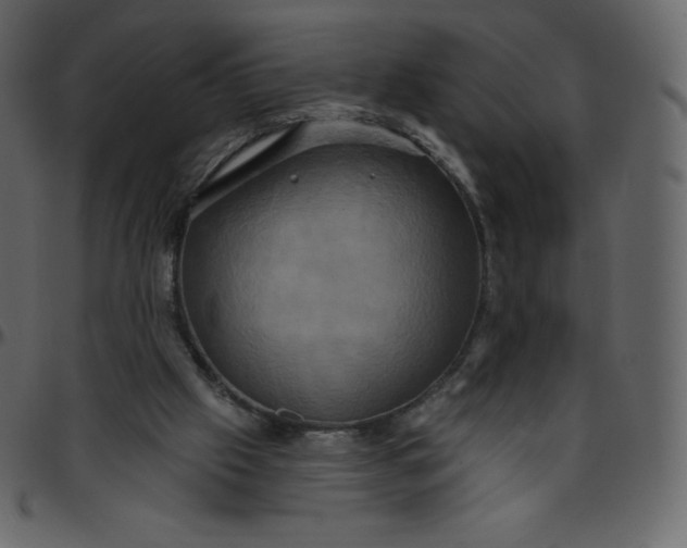 X0000095680057200801221235