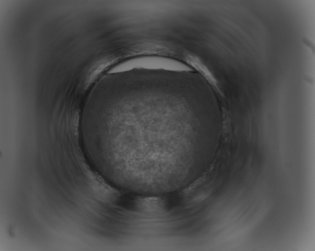 X0000095680058200801221235