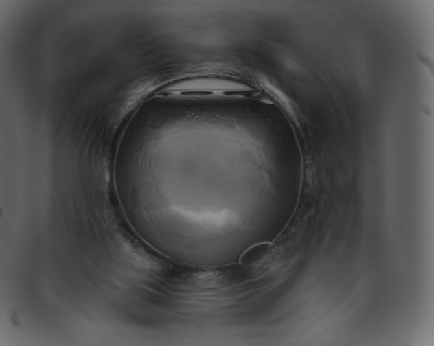 X0000095680059200801221235