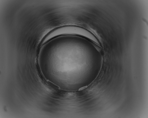 X0000095680060200801221235