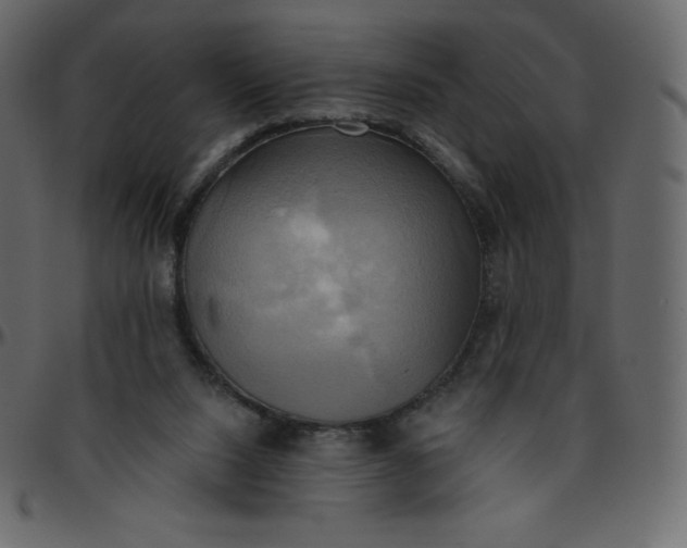 X0000095680064200801221235