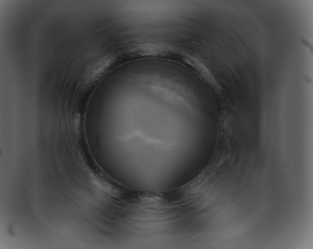 X0000095680066200801221235