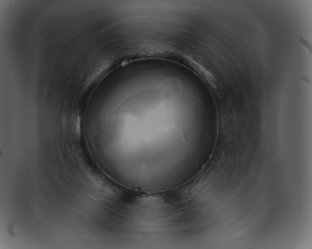 X0000095680067200801221235