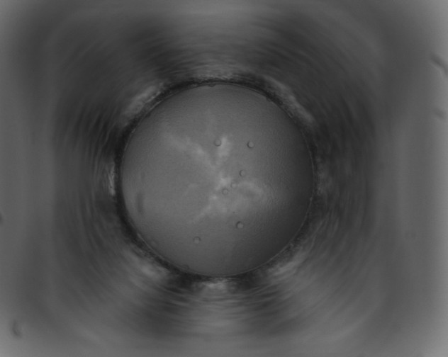 X0000095680068200801221235