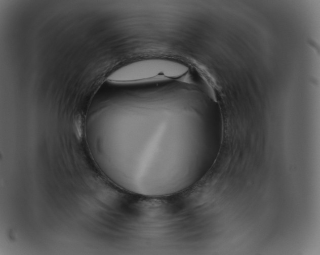 X0000095680069200801221235