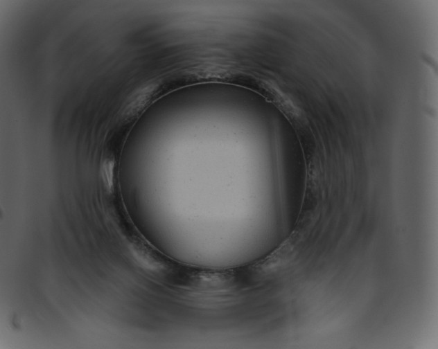 X0000095680070200801221235