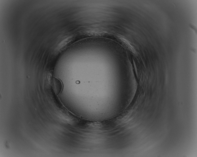 X0000095680071200801221235