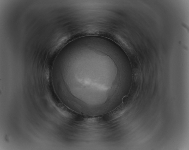 X0000095680072200801221235