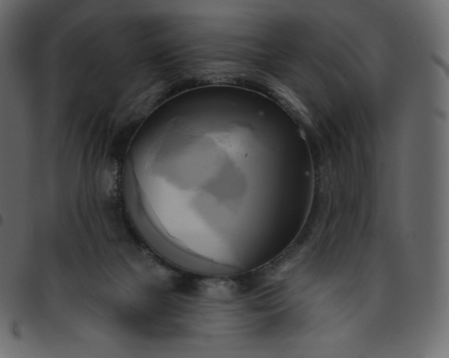 X0000095680073200801221235