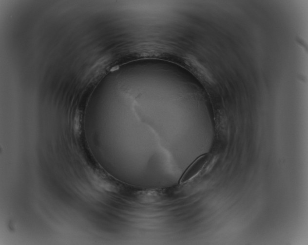 X0000095680074200801221235