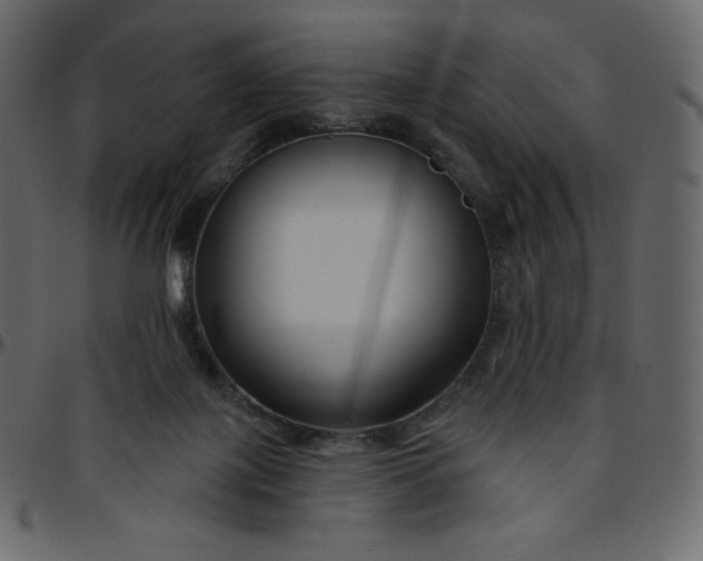 X0000095680075200801221235