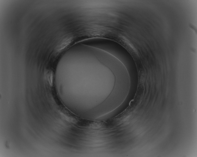 X0000095680076200801221235