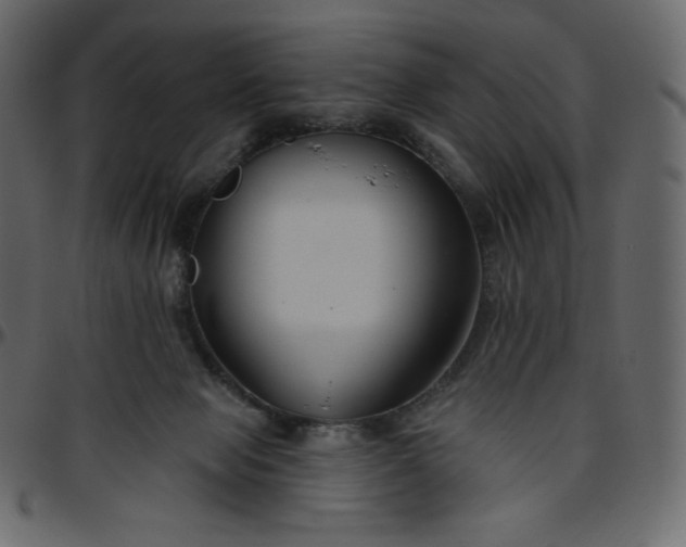 X0000095680077200801221235