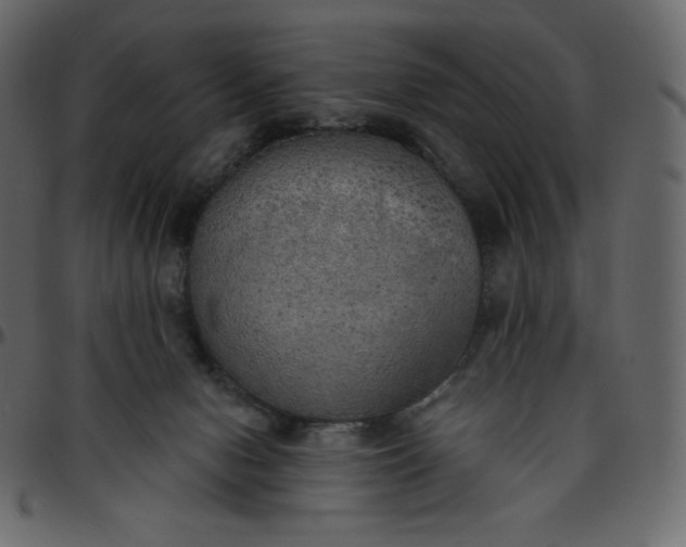 X0000095680078200801221235