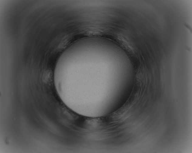 X0000095680079200801221235