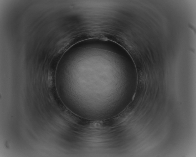 X0000095680080200801221235