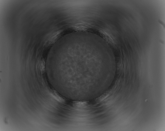 X0000095680081200801221235