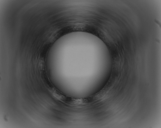 X0000095680083200801221235