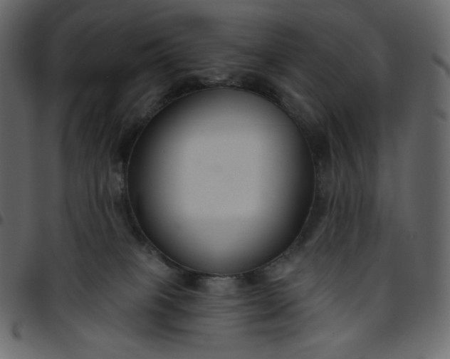 X0000095680085200801221235