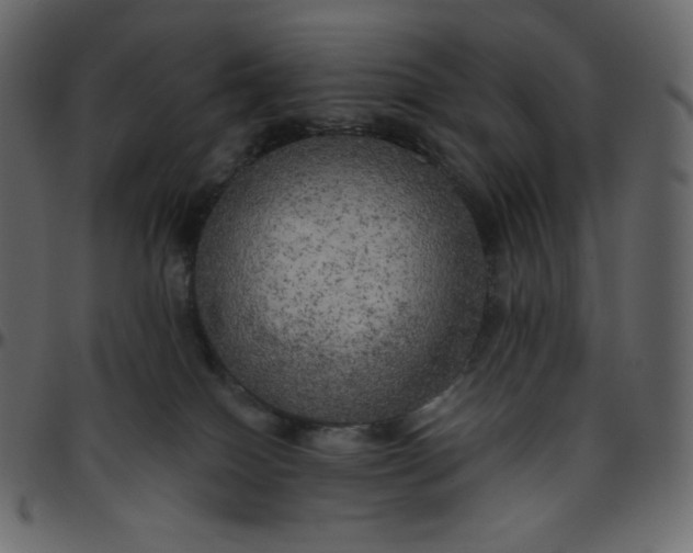 X0000095680086200801221235