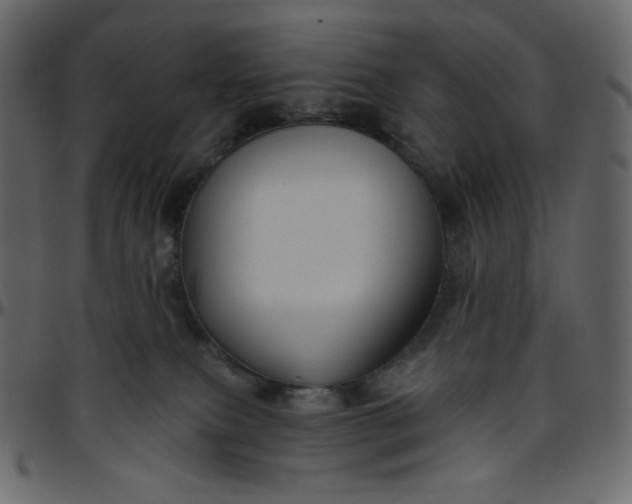 X0000095680087200801221235