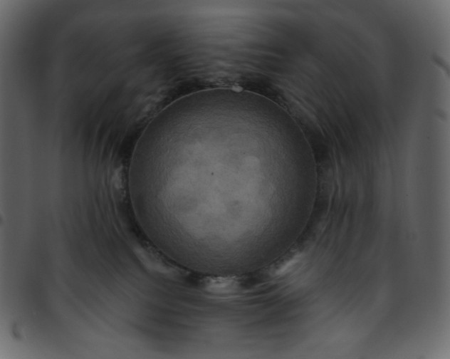 X0000095680088200801221235