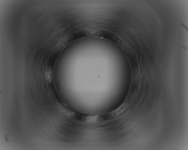 X0000095680090200801221235