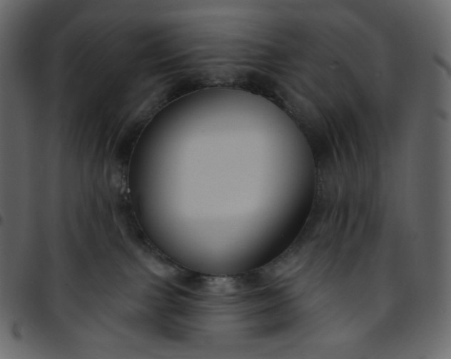 X0000095680091200801221235