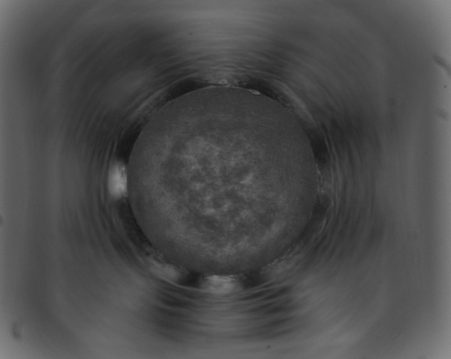 X0000095680095200801221235