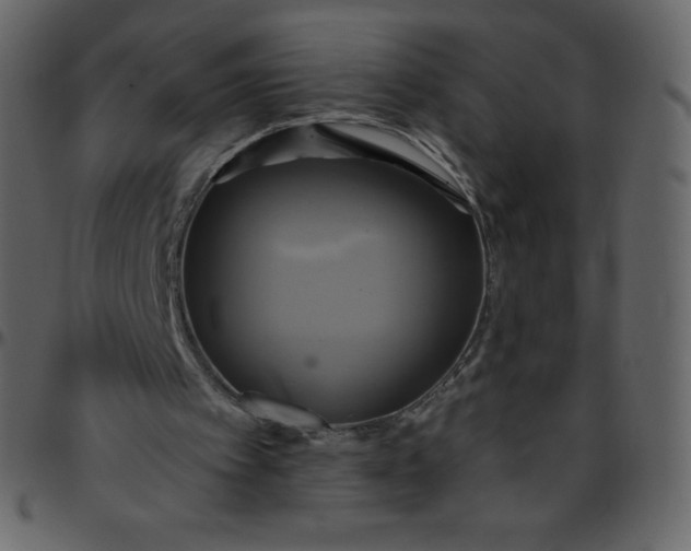 X0000095680097200801221235