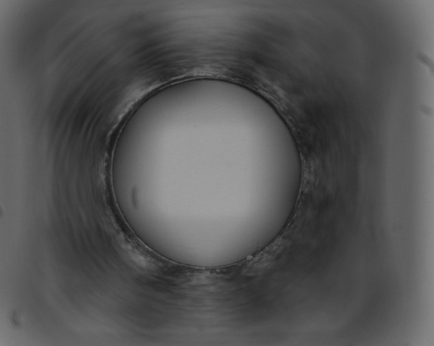 X0000095680098200801221235