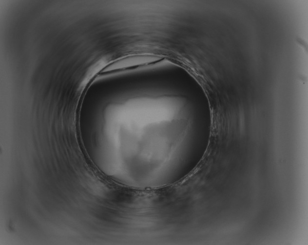 X0000095680099200801221235