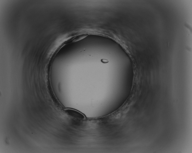 X0000095680103200801221235