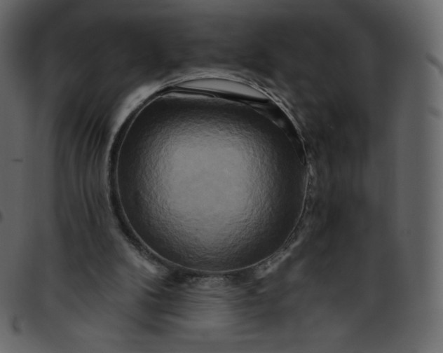 X0000095680104200801221235