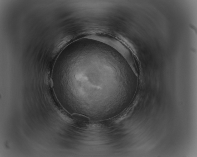 X0000095680105200801221235