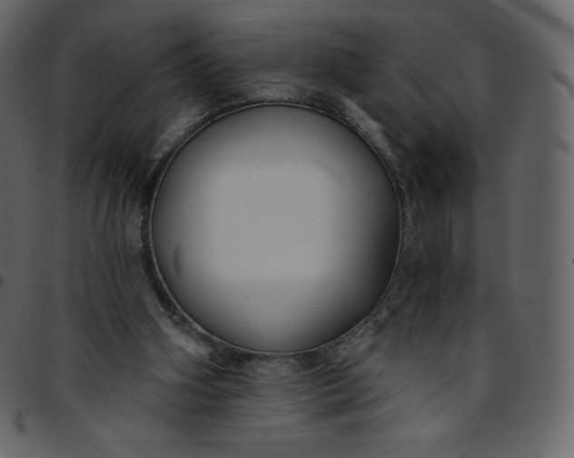 X0000095680106200801221235