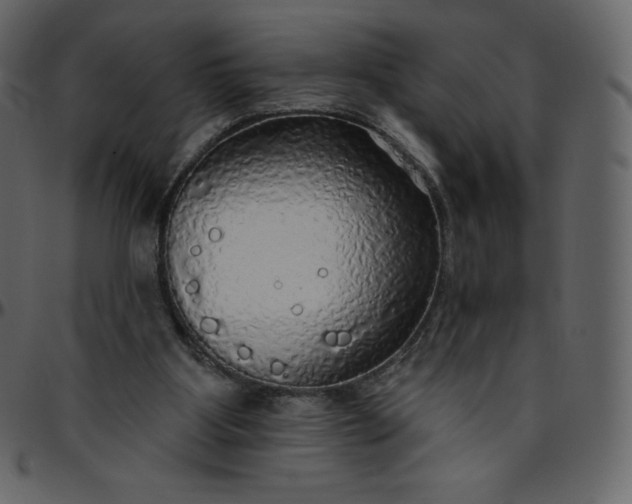 X0000095680107200801221235