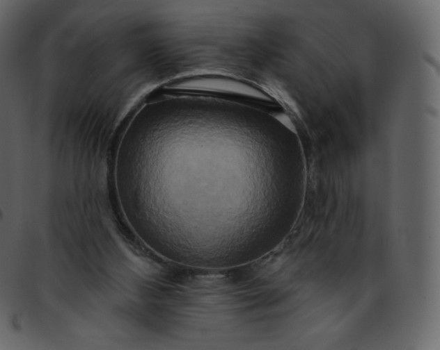 X0000095680108200801221235